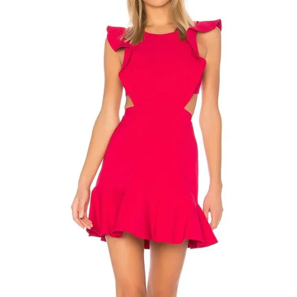 bcbgmaxazria hot pink dress BCBGMAXAZRIA Corset Tulle Gown in Vibrant Pink